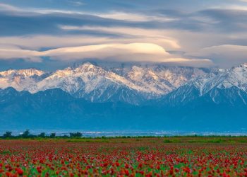 Арқастау – атамекенім