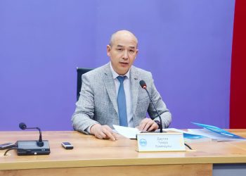 Можно ли проголосовать онлайн на выборах?