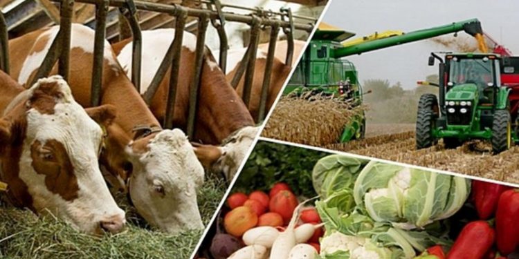 Ұқсата білген ұтады