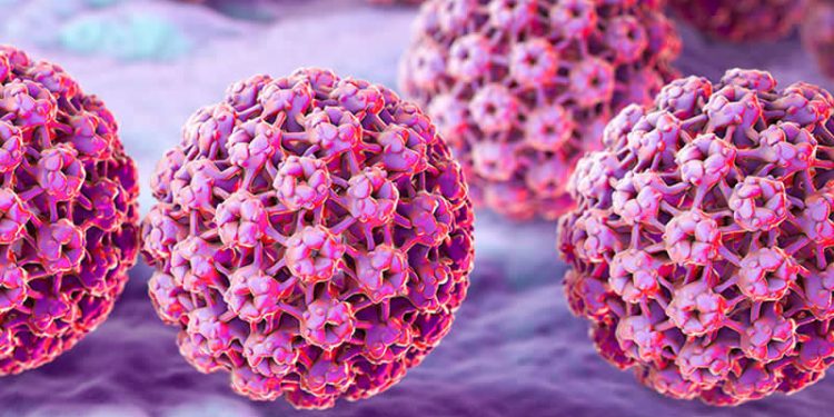 Күзде адам папилломавирусына қарсы вакцинация басталады