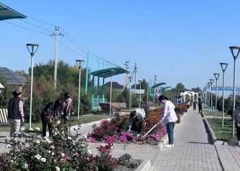 Таза Қазақстан: Жетісуда тазалық шаралары жалғасып жатыр