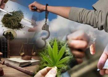 Жетісу облысында есірткі қылмысы 23 пайызға төмендеді