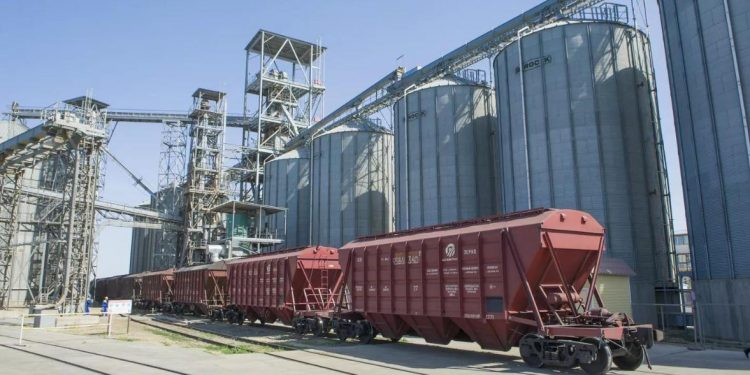 Жаңа астық экспорты 7,6 млн тоннаға жетті