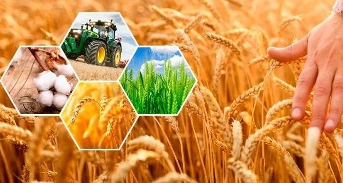 Жетісу облысында Ұлттық ауыл шаруашылығы санағы басталады