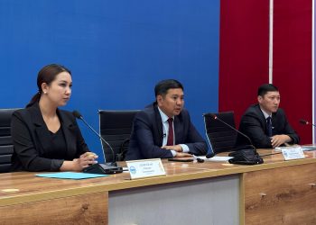 Жетісу өңірінде шегірткеге қарсы күрес жалғасуда: 32 мың гектардан астам аумақ өңделді