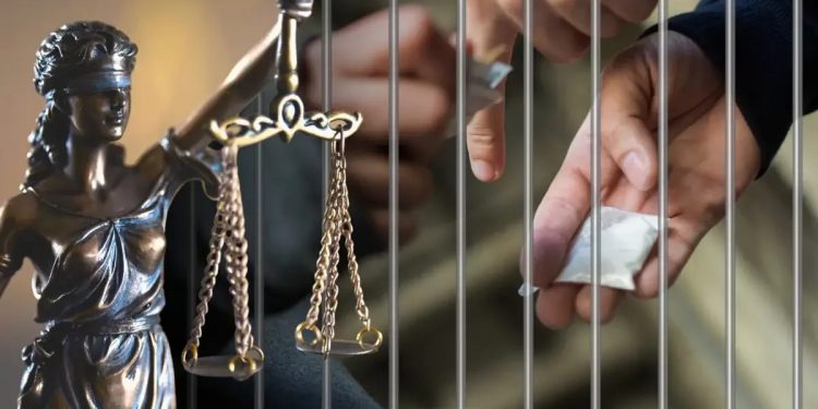 Жетісу облысында жыл басынан бері 54 келі түрлі есірткі тәркіленді