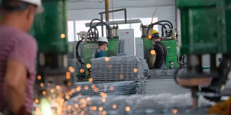 Жетісу экономикасы: өндіріс көлемі өсіп, инвестициялар артты