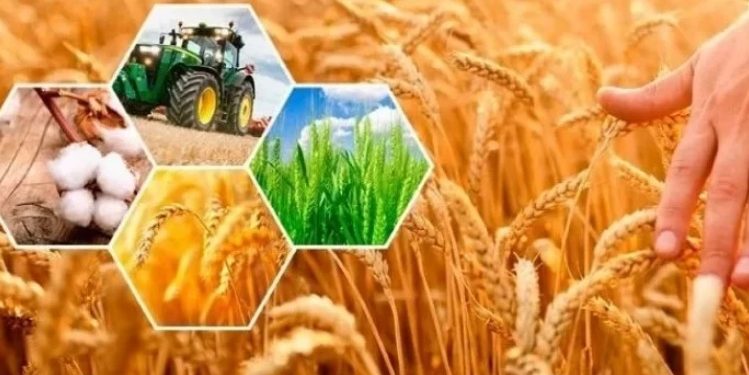 Жетісуда ауыл шаруашылығы санағына 20 мың жеке шаруа қожалығы қамтылмақ