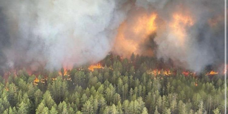 Өрт қаупі жоғары маусым: Цифрлық технологиялар Жетісудағы жағдайды қадағалауда