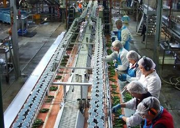 Әсел Әбен: Өңдеу өнеркәсібі – экономиканың тұрақтылығын арттыратын басты фактор