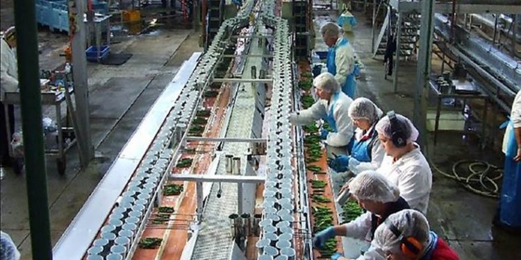 Әсел Әбен: Өңдеу өнеркәсібі – экономиканың тұрақтылығын арттыратын басты фактор