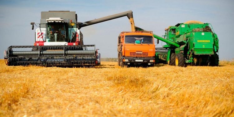 Жетісу облысында күзгі жиын-терін жұмыстары жалғасуда