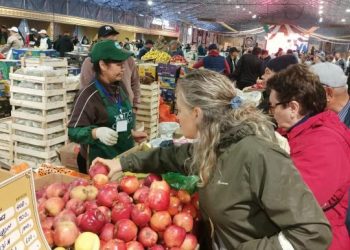 Елордадағы жәрмеңке: Жетісудан ауыл шаруашылығы тауар өндірушілері 155 тоннадан астам өнім әкелді