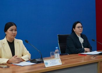 Жетісу облысында бизнеске кедергі келтірген 4 тосқауыл жойылды