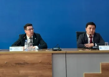 «Цифрлық серпіліс»: Жетісу IT негізінде болашағын құрып келеді