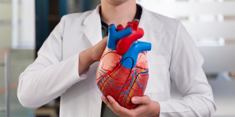 Жүрек-қан тамырлары аурулары