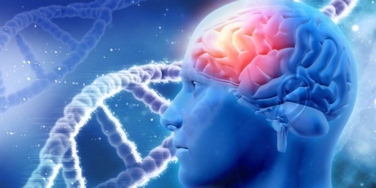 Менингококті инфекция және алдын алу шаралары