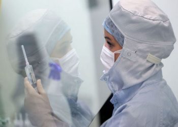 Жетісу облысында қызылшаға шалдығу деңгейі шамамен 18 есеге төмендеді