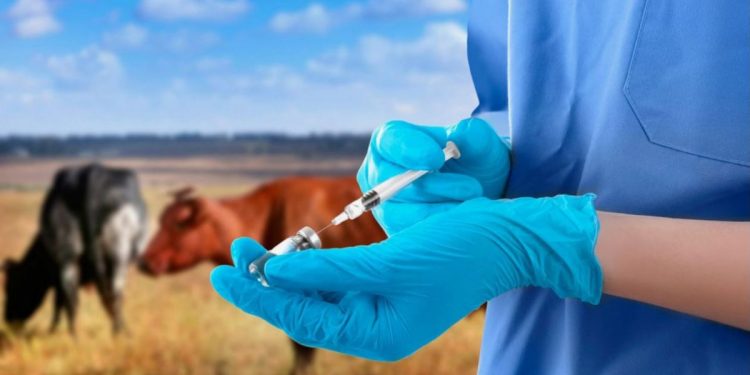 Ветеринария саласын жаңғыртуға биыл 1 миллиард теңгеге жуық қаражат жұмсалмақ