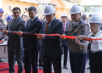 Мемлекет басшысының тапсырмасы: Қазақстанда отандық ғалымдардың әзірлемелері негізінде жаңа зауыт іске қосылды