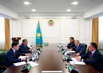 Жетісу облысында инвесторлар қуаты 1 ГВт болатын жел электр станциясын салуға ниетті