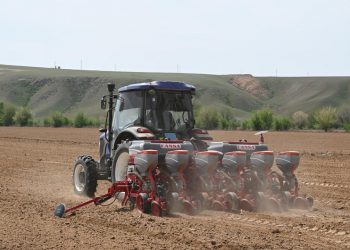 Көктемгі егіс: Жетісуда ауыл шаруашылығы дақылдарының 90% жуығы себілді