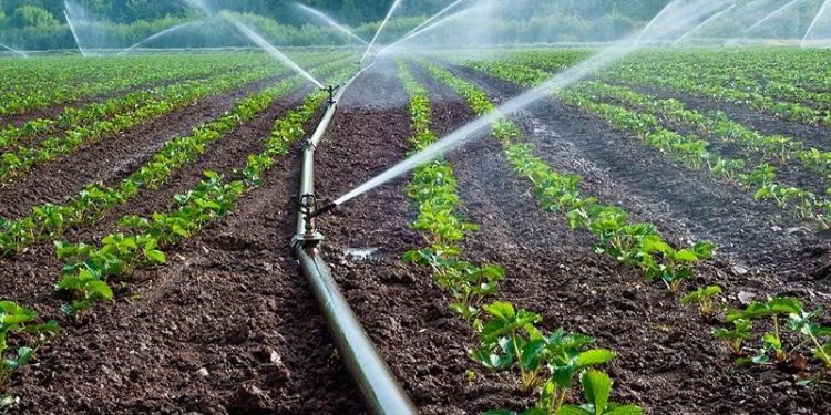 Ауыл шаруашылығын дамыту – экономикалық өсімінің негізі