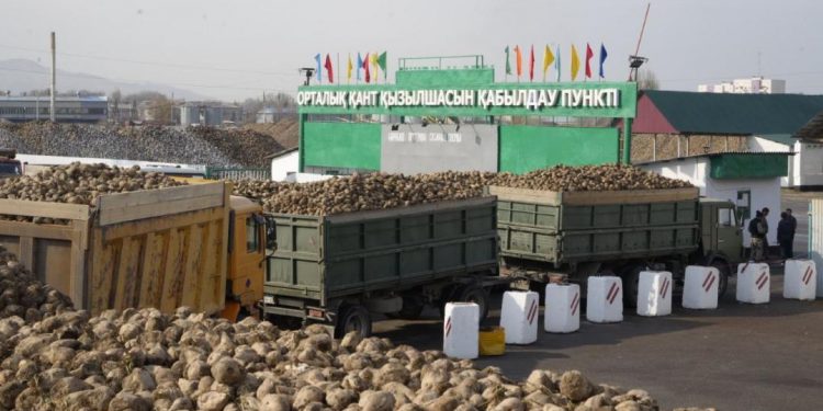 Жетісу облысының агроөнеркәсіп кешенінде 23 инвестициялық жоба жүзеге асырылуда