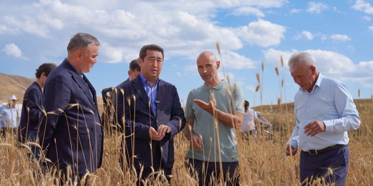 Айдарбек Сапаров Жетісу облысында АӨК саласында инвестициялық жобалардың жүзеге асырылуы және егін жинау барысымен танысты