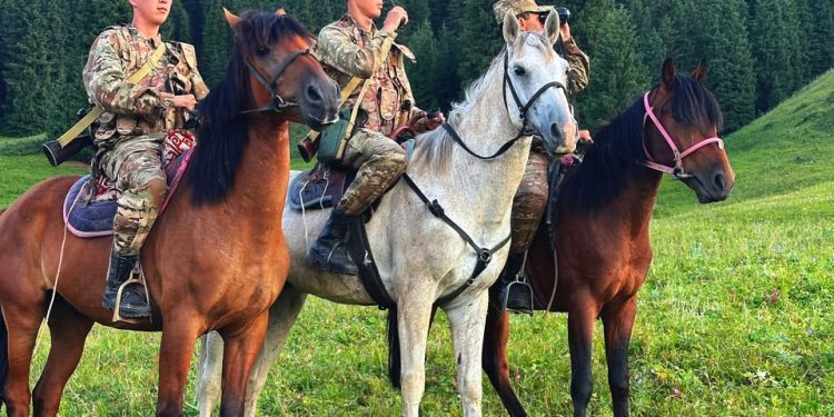 Шекара шебіндегі «Арасан»