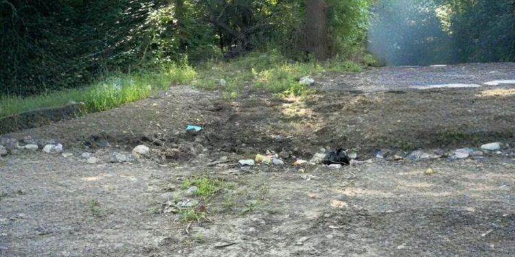 «Таза Қазақстан»: Талдықорғанда мобильді топ кезекті рейдке шықты
